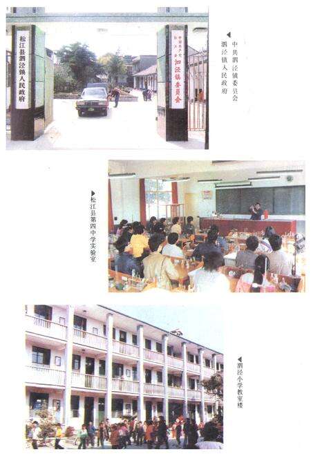 《泗泾镇志》.pdf电子版_上海市志预览图5