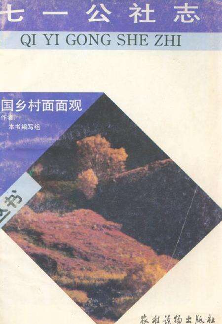 《《七一公社志》》.pdf电子版_上海市志缩略图