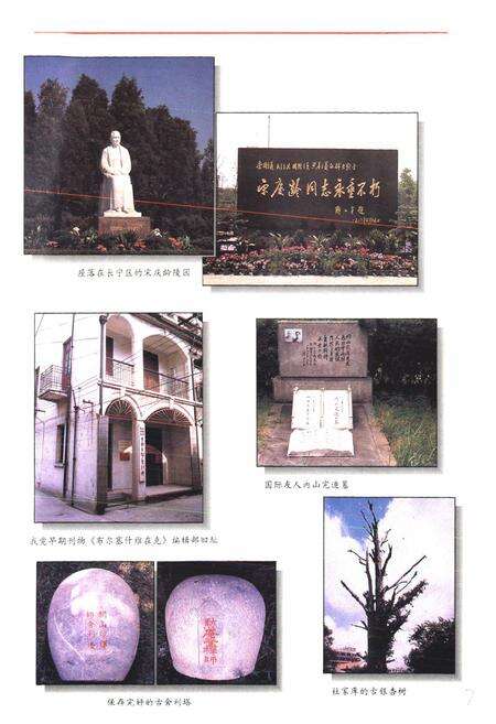 《《上海市长宁区文化志》》.pdf电子版_上海市志预览图5