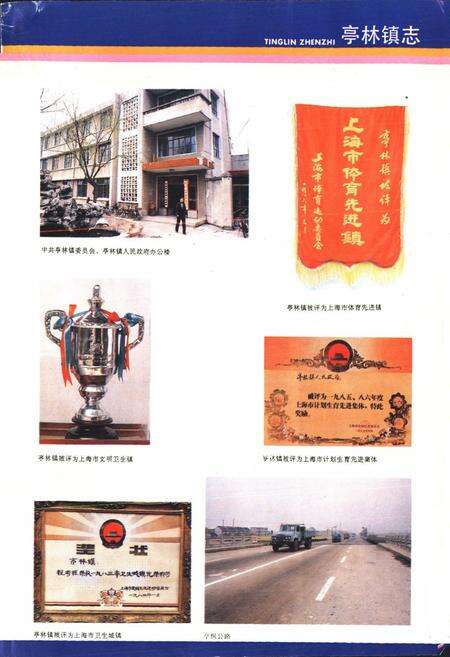 《《亭林镇志》》.pdf电子版_上海市志预览图2