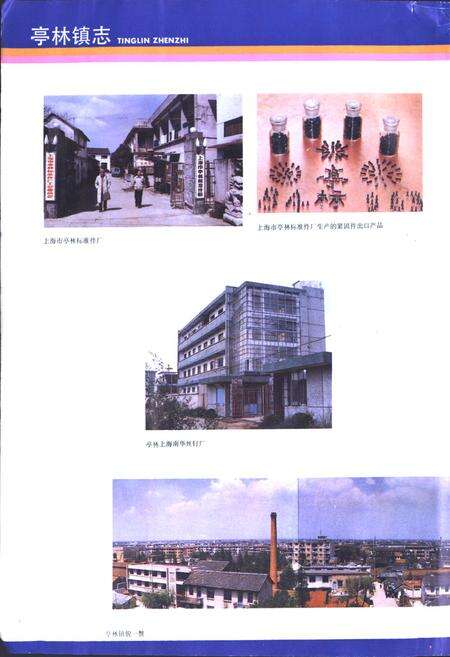 《《亭林镇志》》.pdf电子版_上海市志预览图3