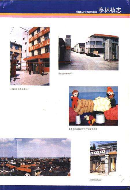 《《亭林镇志》》.pdf电子版_上海市志预览图4