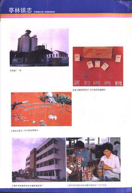 《《亭林镇志》》.pdf电子版_上海市志预览图5