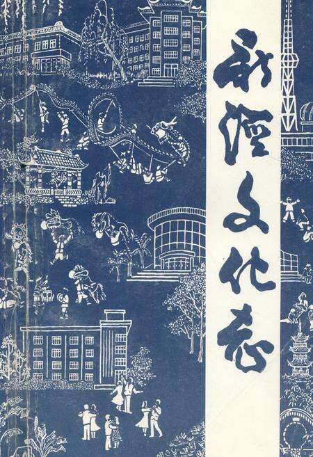 《《新泾文化志》》.pdf电子版_上海市志缩略图