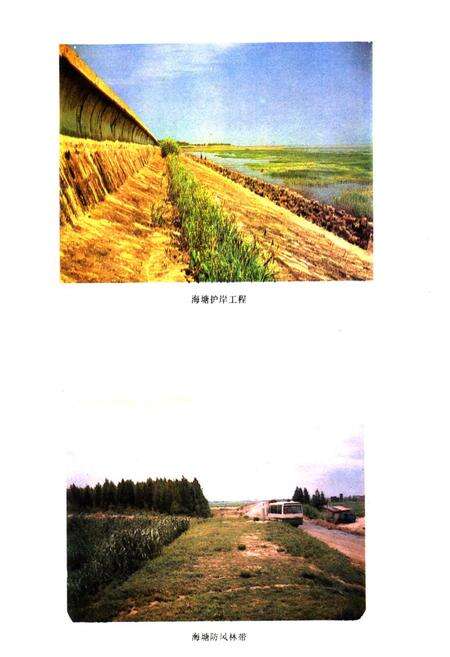 《川沙县水利志》.pdf电子版_上海市志预览图4