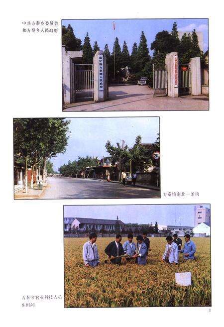 《方泰乡志》.pdf电子版_上海市志预览图2