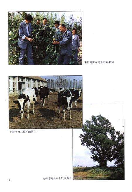 《方泰乡志》.pdf电子版_上海市志预览图3