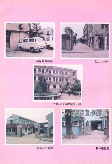 《《上海县卫生志》》.pdf电子版_上海市志预览图5