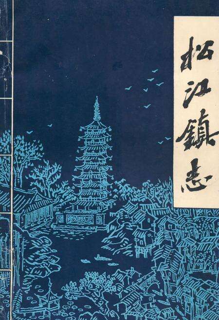 《《松江镇志》》.pdf电子版_上海市志缩略图