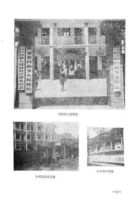 《《白鹤乡志》》.pdf电子版_上海市志预览图3