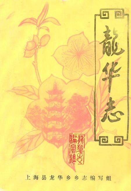 《龙华志》.pdf电子版_上海市志缩略图
