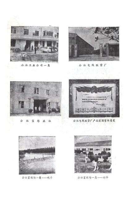 《龙华志》.pdf电子版_上海市志预览图5