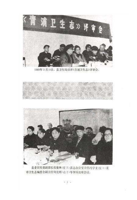 《青浦卫生志》.pdf电子版_上海市志预览图3