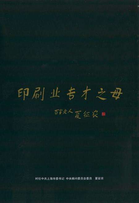 《《上海改革开放30年图志(区县卷Ⅱ)》》.pdf电子版_上海市志预览图4