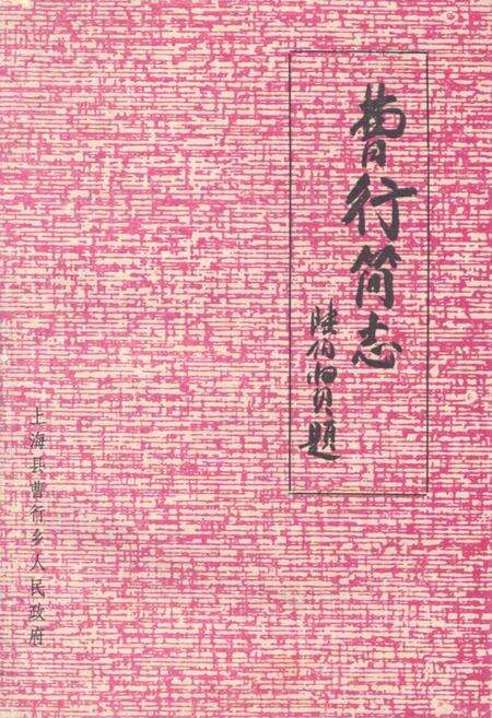 《曹行简志(1949-1983)》.pdf电子版_上海市志缩略图
