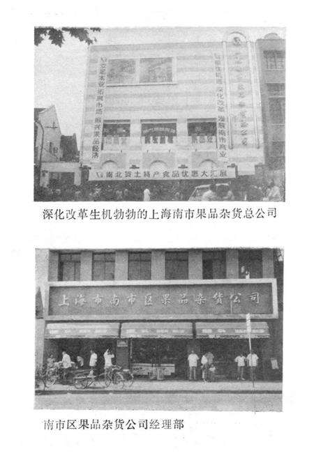 《南市区果品杂货公司行业志》.pdf电子版_上海市志预览图2