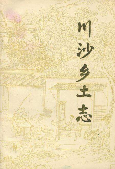 《川沙县文化志》.pdf电子版_上海市志缩略图