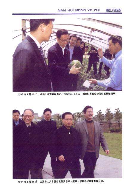 《《南汇农业志》》.pdf电子版_上海市志预览图5