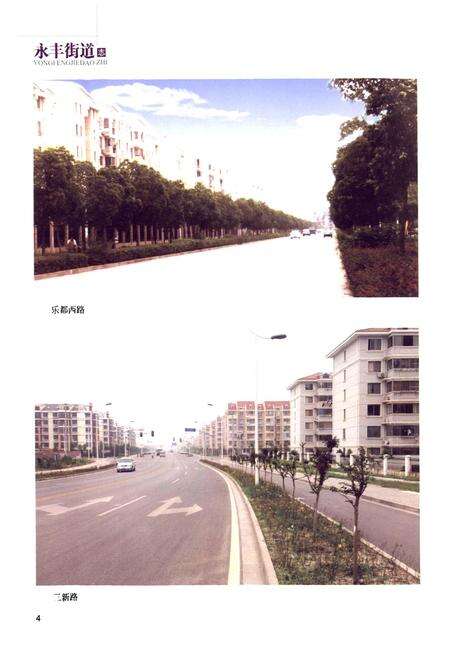 《《永丰街道志》》.pdf电子版_上海市志预览图5