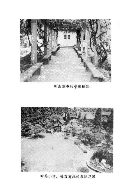 《《上海市杨浦区四平街道医院院志》》.pdf电子版_上海市志预览图3