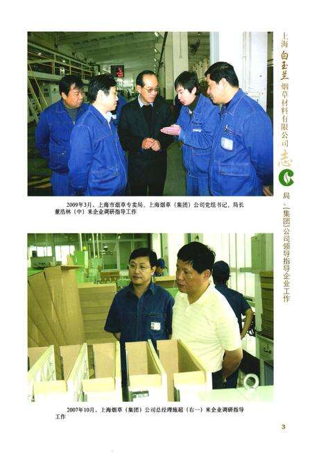 《上海白玉兰》.pdf电子版_上海市志预览图3