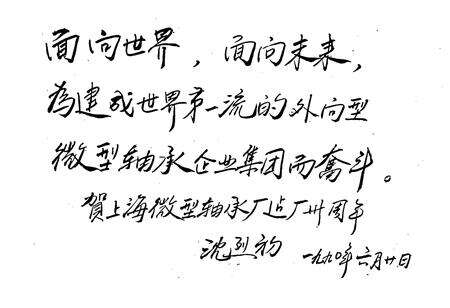 《上海微型轴承厂志》.pdf电子版_上海市志预览图5