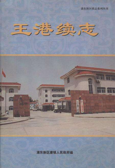 《王港续志(1986-2000)》.pdf电子版_上海市志缩略图