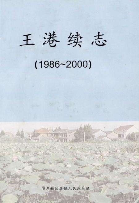 《王港续志(1986-2000)》.pdf电子版_上海市志预览图1