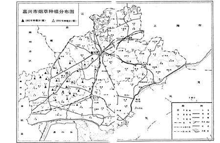《《嘉兴市烟草志》》.pdf电子版_上海市志预览图5