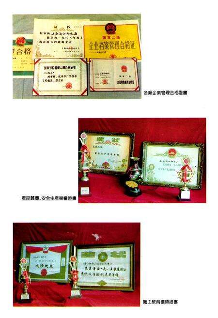 《浦江轴承厂志》.pdf电子版_上海市志预览图5