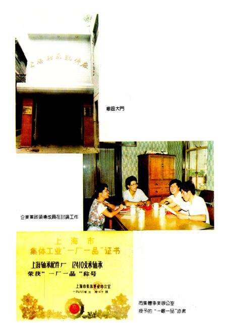 《上海轴承配件厂志》.pdf电子版_上海市志预览图2