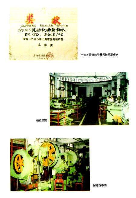 《上海轴承配件厂志》.pdf电子版_上海市志预览图4