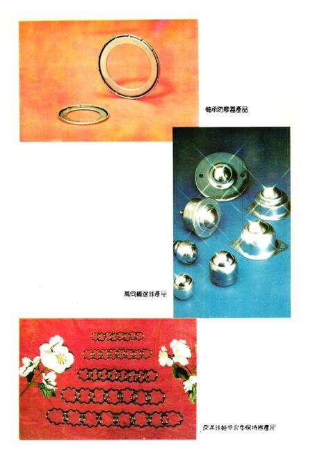 《上海轴承配件厂志》.pdf电子版_上海市志预览图5