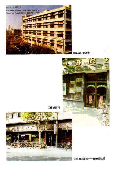 《上海滚针轴承厂志》.pdf电子版_上海市志预览图4