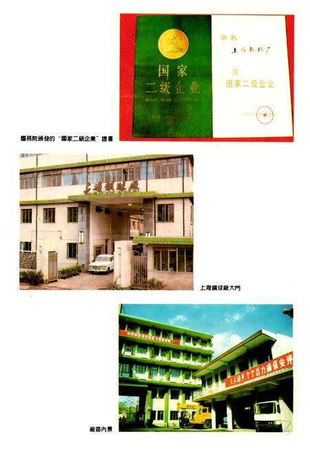 《上海钢球厂志》.pdf电子版_上海市志预览图2