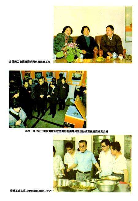 《上海钢球厂志》.pdf电子版_上海市志预览图4