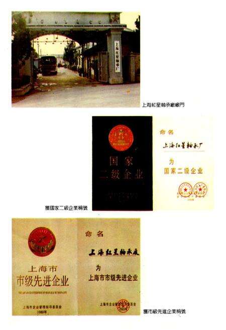 《上海红星轴承厂志》.pdf电子版_上海市志预览图2