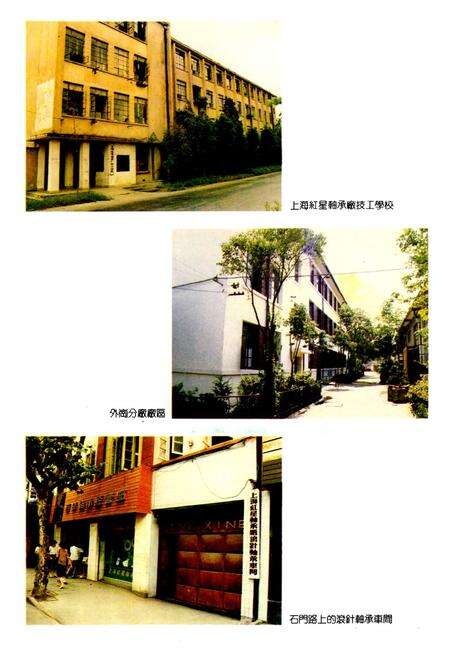 《上海红星轴承厂志》.pdf电子版_上海市志预览图3