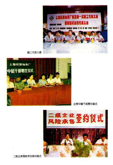 《上海红星轴承厂志》.pdf电子版_上海市志预览图5