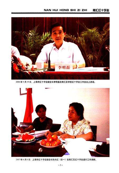《南汇红十字志》.pdf电子版_上海市志预览图4