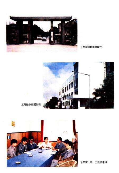 《上海向明轴承厂志》.pdf电子版_上海市志预览图2