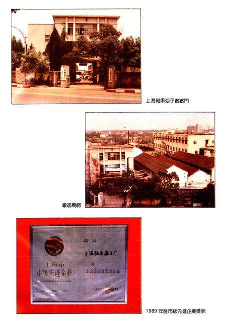 《上海轴承滚子厂志》.pdf电子版_上海市志预览图2