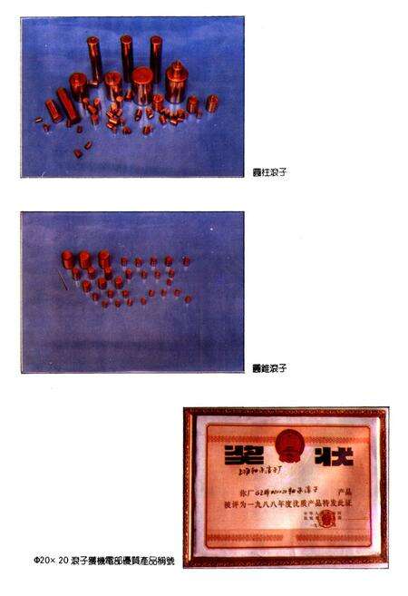 《上海轴承滚子厂志》.pdf电子版_上海市志预览图3