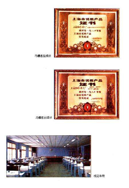 《上海轴承滚子厂志》.pdf电子版_上海市志预览图4