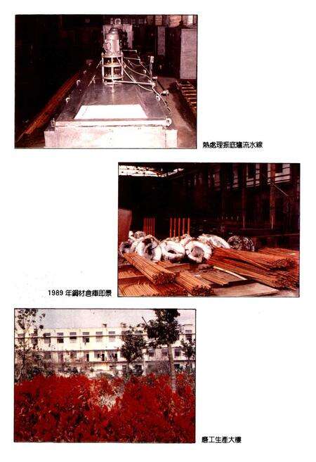 《上海轴承滚子厂志》.pdf电子版_上海市志预览图5