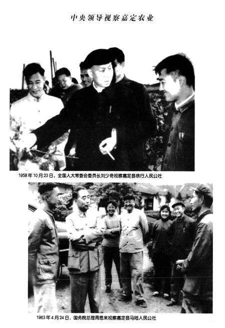 《嘉定县农业局志》.pdf电子版_上海市志预览图4