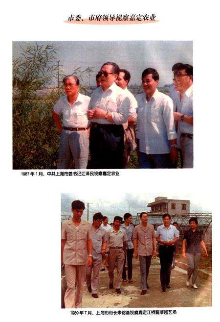 《嘉定县农业局志》.pdf电子版_上海市志预览图5