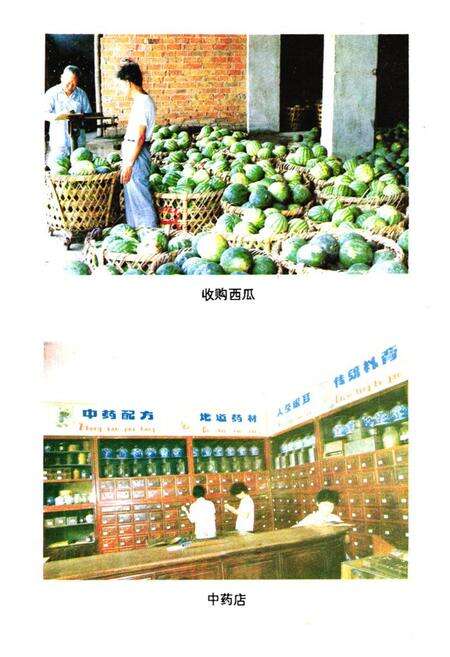 《上海县供销合作商业志》.pdf_上海市志预览图2