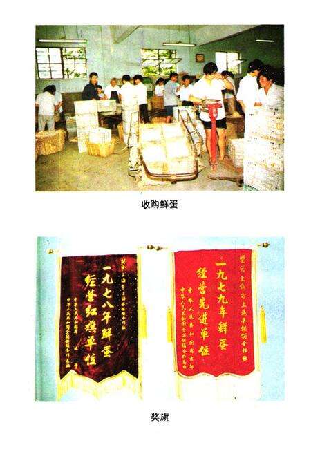 《上海县供销合作商业志》.pdf_上海市志预览图5