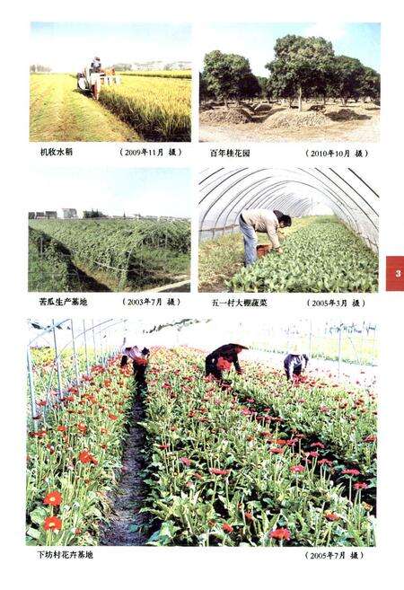 《兴塔志(1990~2004)》.pdf_上海市志预览图4